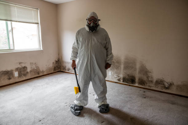 Best Mold Cleaning Services  in Saukville, WI